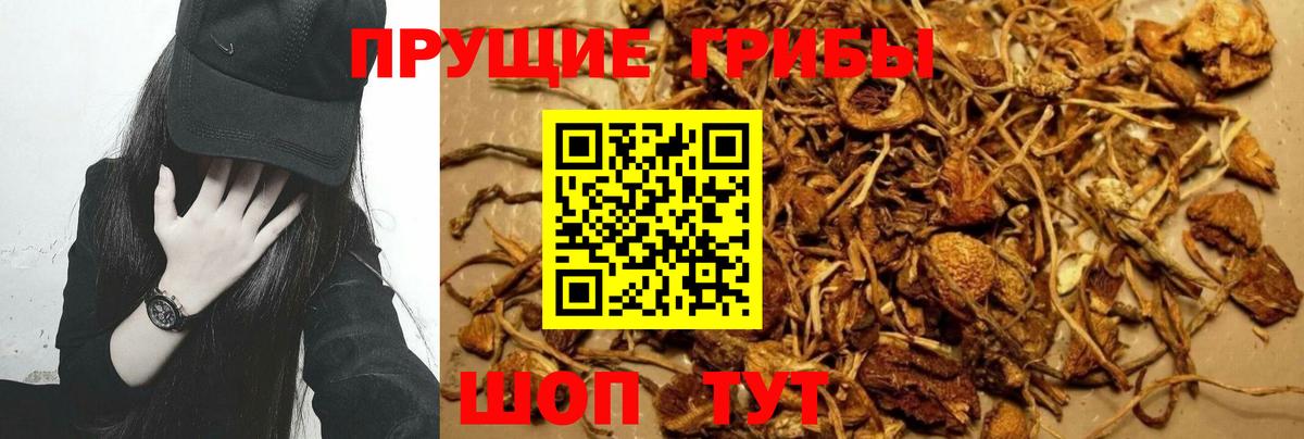 Рузаевка  Галлюциногенные грибы Psilocybine cubensis  магазин продажи   Вход с VPN  Псилоцибиновые грибы мухоморы 