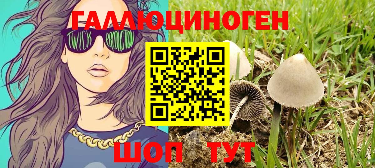 Псилоцибиновые грибы мицелий Рузаевка